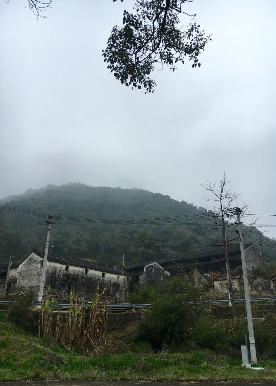 香山村民委员会天气预报更新通知