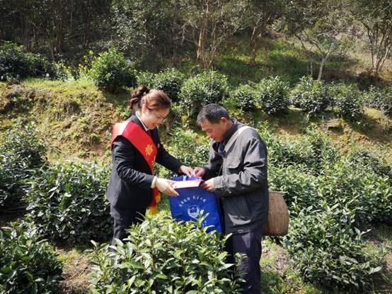 徽州区科学技术与工业信息化局未来发展规划概览